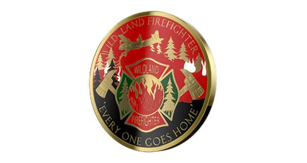 Hard Enamel Coins