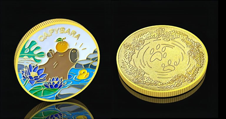Custom Buy Capybara Challenge Coins  Usage Scenarios- CustomBlitz